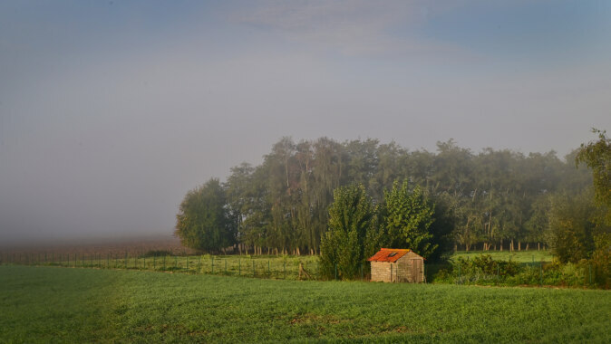 2026 10 07 102343 ZWEVEGEM Jan Demets