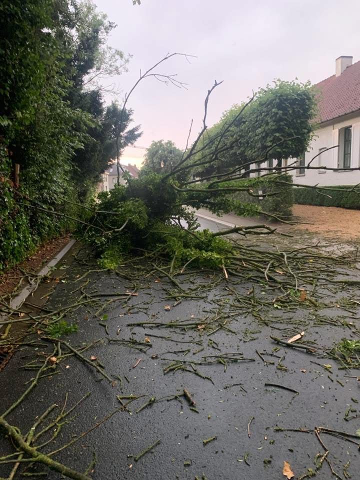 Boom onweer