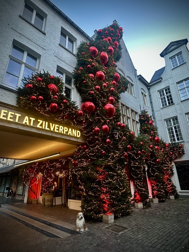 Van Pamel Zilverpand 1