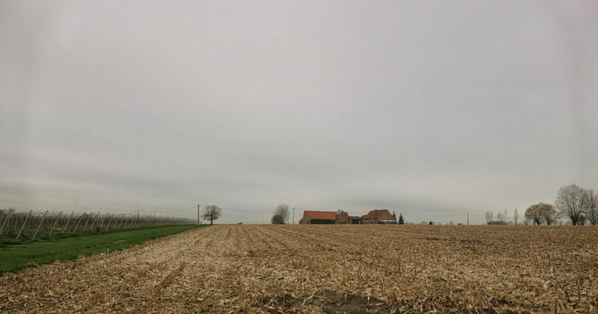 Harde Koude Wind In Zuid Frankrijk