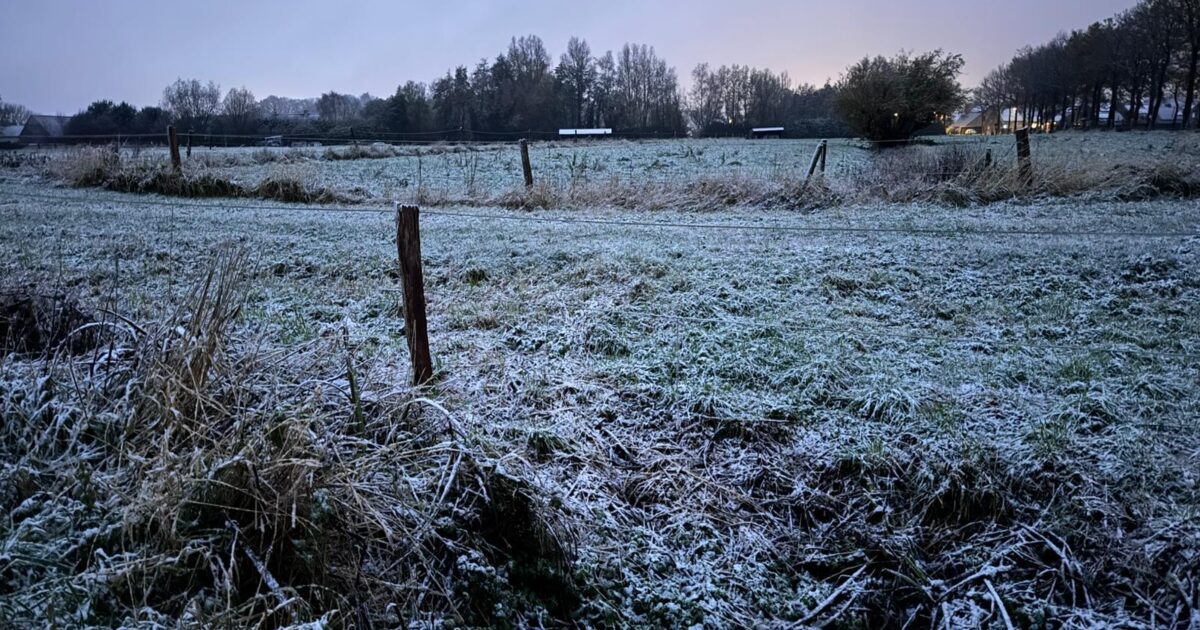 Wisselvallige donderdag met sneeuw en gladheid | Focus en WTV