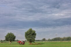 2026 08 28 092537 Bissegem Kris Catteeuw