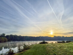 2026 10 03 144416 Gullegem Christine Bentein