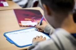 Onderwijs - lagere school - leerling