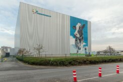 FrieslandCampina - melk
