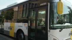 Bus