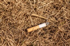 Droogte 1