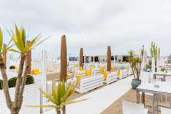 Siesta Beachbar