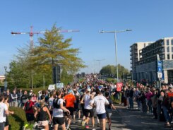 Marathon Kortrijk veel volk 2026