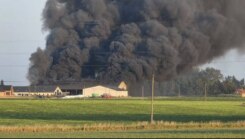 Brandweer redt runderen bij uitslaande loodsbrand in Wervik