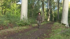 Bos na storm Austen