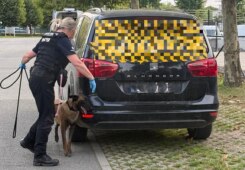 Politieactie MIRA