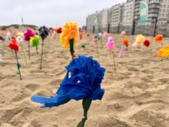 Strandbloemen 1