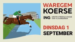 Waregem koerse