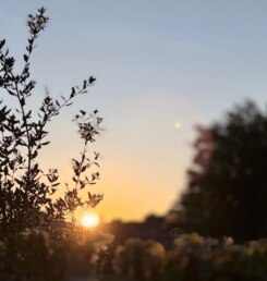 Weerfoto06102026