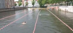 Zwemzone sasplein langerei brugge