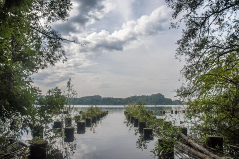 2024 07 31 133305 harelbeke Luc Neirynck