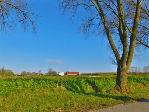 2024 03 09 102947 Rollegem Ghislain Van De Meulebroeke