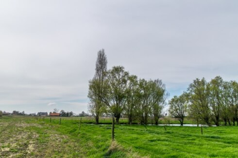 2024 03 20 151455 Roeselare Christine Bentein