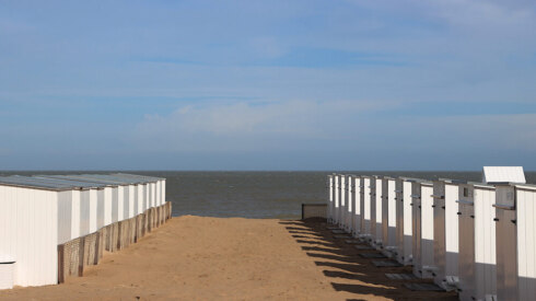 Weer