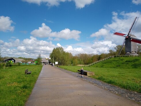 2024 04 17 154046 Harelbeke Goedele Terrijn
