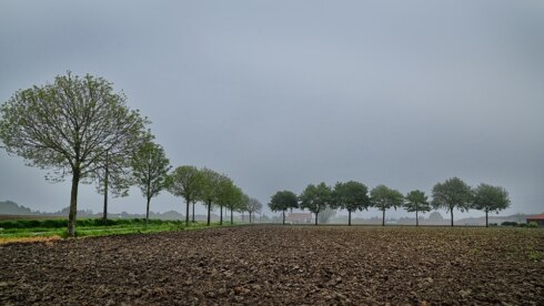 2024 05 07 114844 Otegem Jan Demets