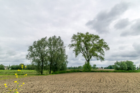 2024 05 30 114807 Roeselare Christine Bentein