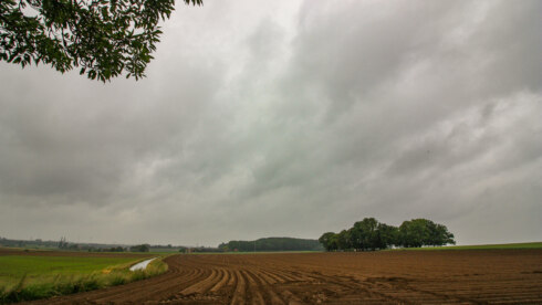 2024 06 10 103303 Zwevegem Willy Huys