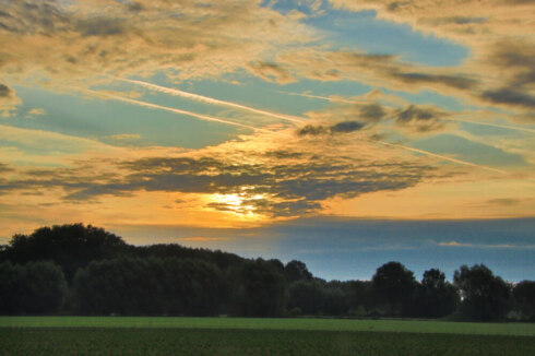 Weer
