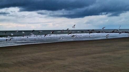 2024 09 30 163325 Blankenberge Jan Temmerman