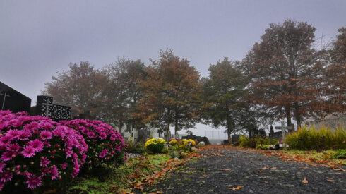 Weer - 1 november