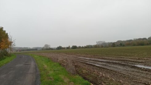 2024 11 08 114218 sint kruis guido bl