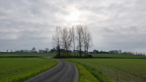 2024 12 17 122853 Anzegem Mya Verleye