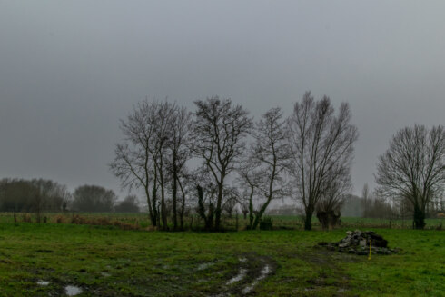 2024 12 26 105135 Roeselare Christine Bentein