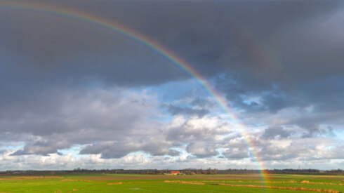 Weer