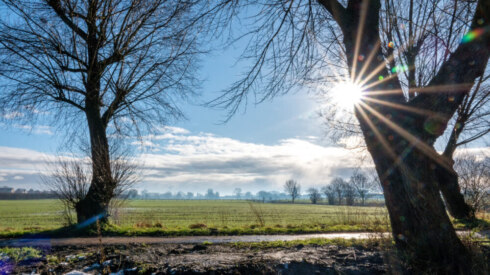 Weer - Herfst/Winter