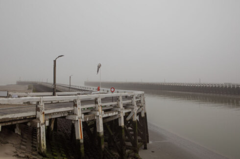 Weer