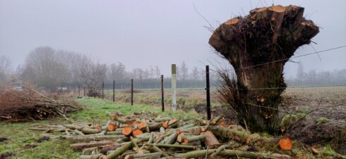 2025 01 18 113658 Izegem Ronny Popelier