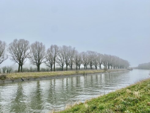 2025 01 21 125105 Beveren Leie