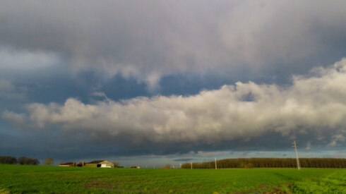 Weer