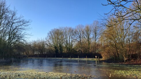 2025 02 01 144155 Kuurne Toon Claerhout