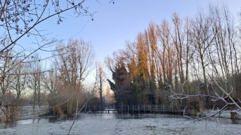 Weer