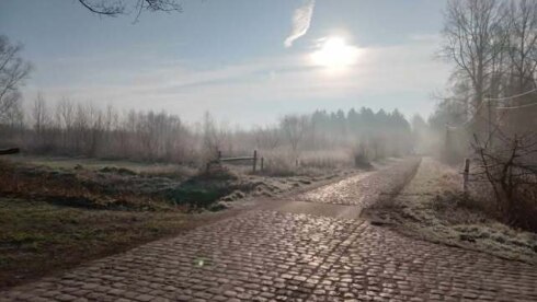 Weer