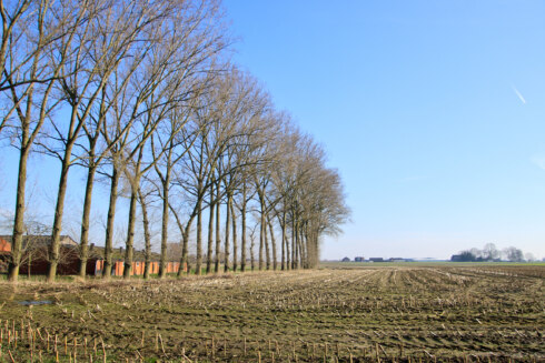 2025 02 18 122224 Ardooie Luc Lambert
