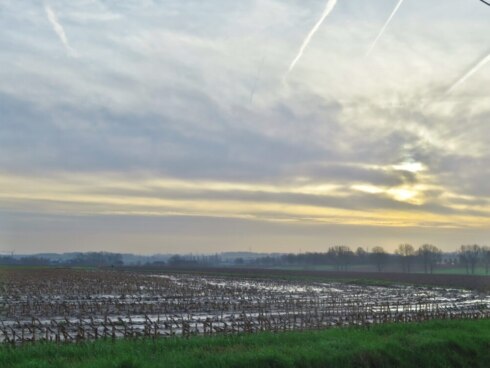Weer