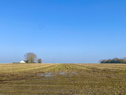 2025 03 02 132424 Hulste Jan Vermeulen