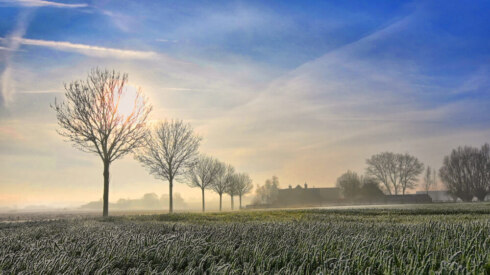 Weer