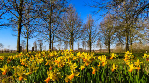 Weer