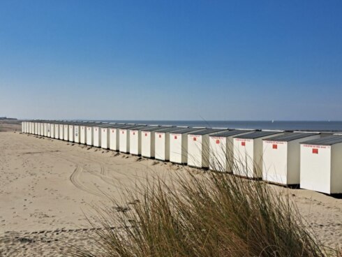 Weer