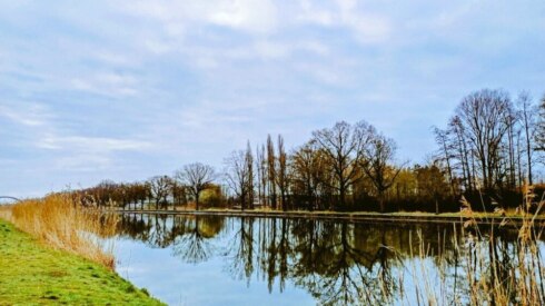Weer